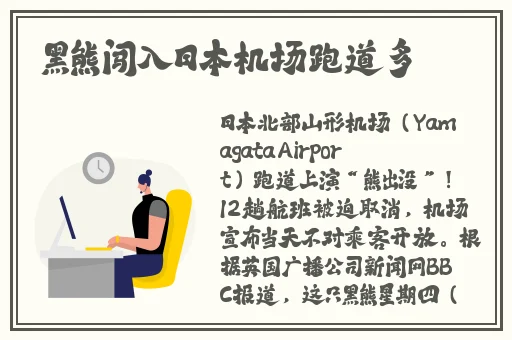春雨平台下载安装